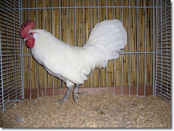 Letztes Bild erreicht